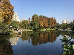 -晓港公园
