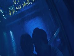 -琴岛之星摩天轮