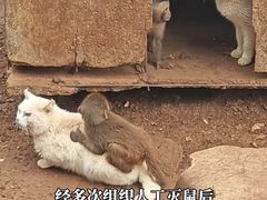-云南野生动物园