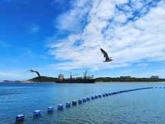 -海驴岛(荣成市)