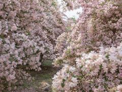 -永定河休闲森林公园