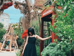 -The Grounds of Alexandria