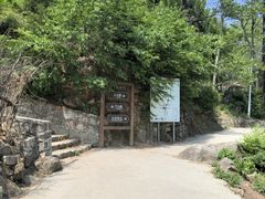 -大岭沟猕猴桃谷风景区