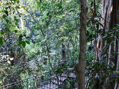 -中国科学院西双版纳热带植物园