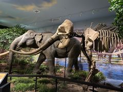 -湖南省地质博物馆