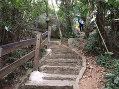 -海南铜鼓岭景区
