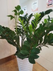 点击看大图 -杭州海亮医院 · 禾芸嘉医美中心