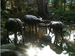 -揭东万竹园旅游景区