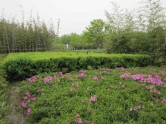 -白塘生态植物园