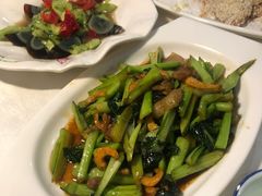 -云中小雅