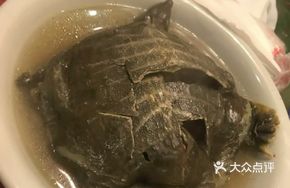 Turtle Soup
