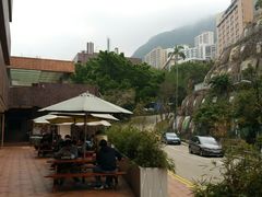 -香港大学