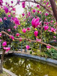 点击看大图 -莲生母婴月子中心(清水河公园店)