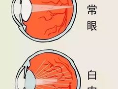 -标准眼镜·蔡司官方授权店(塘沽远洋未来汇店)