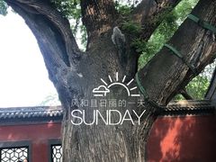-晋祠公园
