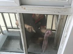 -殷旎一站式清洁服务(三鲁公路店)