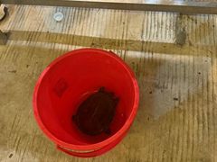 -粮心小农·大头虾亲子生态园(长发店)