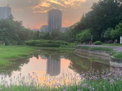 -重庆彩云湖湿地公园