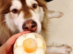 -黛汀烘焙DAINTY BAKERY(代字行合生汇店)