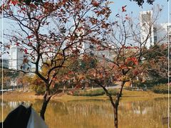 -华南师范大学(广州大学城校区)