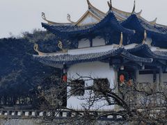 -江心屿景区