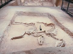 -洛阳周王城天子驾六博物馆