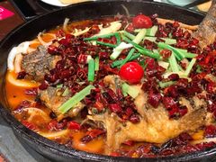 -老板恋上鱼(高新万达店)