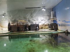 -北戴河圣蓝海洋公园