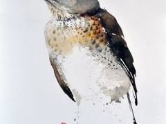 -八哥美术·成人美术画室(总校区)