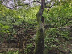 -北京上方山国家森林公园