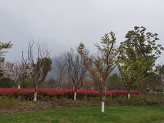 -狼山风景名胜区