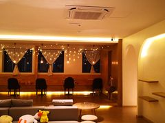 -猫腻·猫咖·撸猫馆(星光大道店)