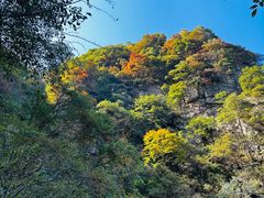 -西安祥峪森林公园