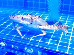 -龙图阁海鲜饭店