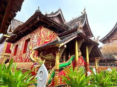 -西双版纳傣族园