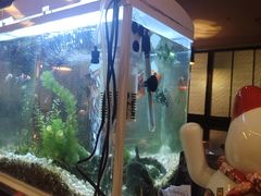 -意卡菲·欢乐聚会餐厅(华侨店)