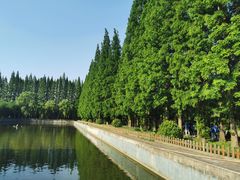 -金岛生态园烧烤露营地