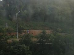 -长虫山生态公园风景林