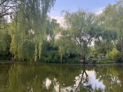 -郑州植物园
