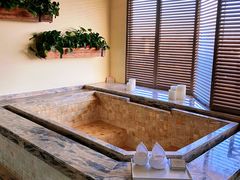 -春晖园度假酒店温泉