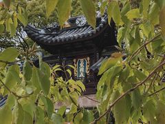 -西园戒幢律寺