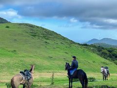 -大姆山草场