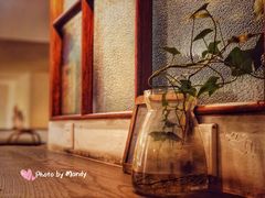 -MAISON门前杂货店