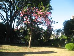 -三水森林公园