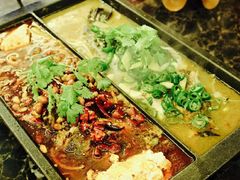 -鱼乐乐(Happy Fish)