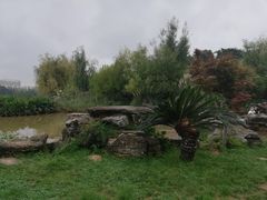 -洛龙公园