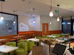 -油梨树 AVOCADO TREE(亮马桥店)