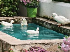 -HERRE·FARM 赫尔露营农场·团建聚会包场