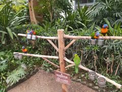 -南宫五洲植物乐园