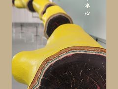 -上海宝龙美术馆